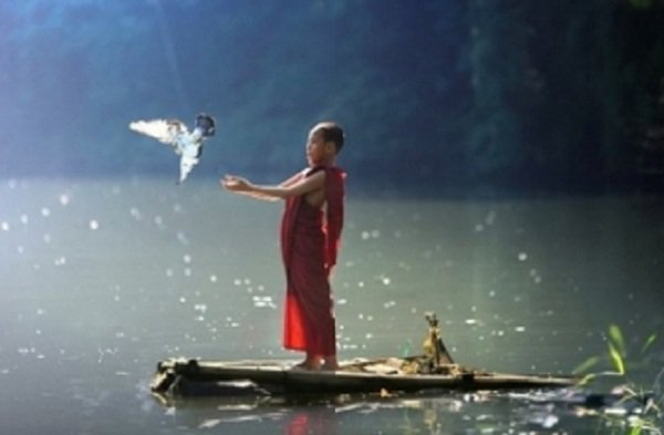 Hoạ phúc luân chuyển biến hoá tương sinh